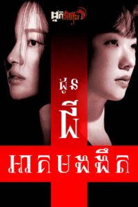 ដូនជីអាគមងងឹត